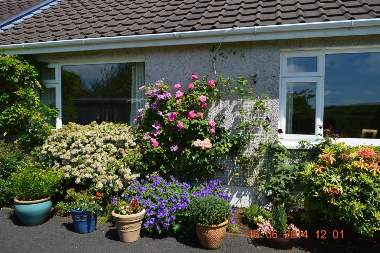 Meadow View B&B Ballymena Exterior foto